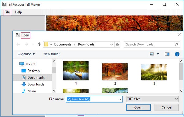 BitRecover Tiff Viewer