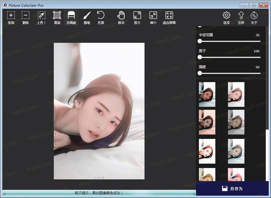 Picture Colorizer Pro(图片上色软件)