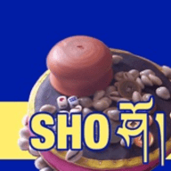 藏式骰子sho安卓旧版