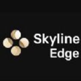 Skyline Edge模拟器官方版