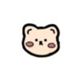 浣熊iOS15启动器中文版下载安装包