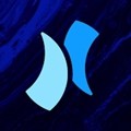 Niagara Launcher pro中文最新版