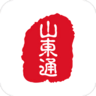 山东通网页版