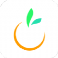 橙宝网app官方版