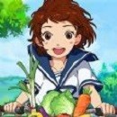 新小森生活台服版
