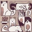 我的小猫贼好看最新版