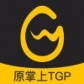掌上wegame手机版