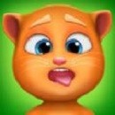 我的会说话的猫Tommy内置修改器