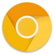 chromecanary最新安卓版