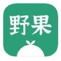 野果阅读无广告版