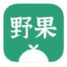野果阅读app安卓版