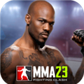 MMA格斗冲突23内置修改器