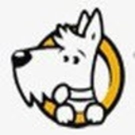 云盘狗手机版
