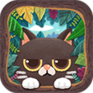 猫咪密林最新版