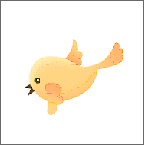 快鸟橙色版本app