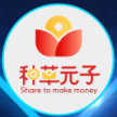 种草元子app官方版