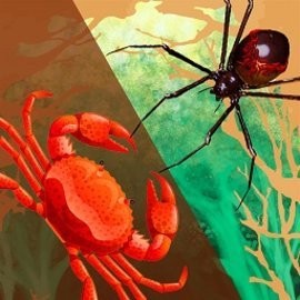 昆虫战争模拟器内置菜单版