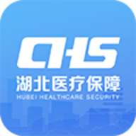 湖北智慧医保官方