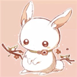 多态兔兔壁纸2023最新版