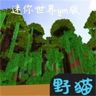 迷你世界ym版安卓