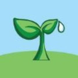 芥菜种最新版
