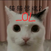 猫猫惊魂2ol手机版