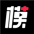 模板加app最新版