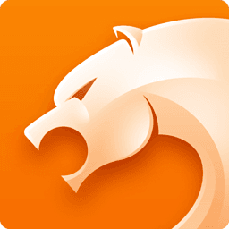 猎豹dns浏览器app官方版