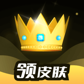 趣抢皮肤手机版