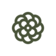 Camellia安卓