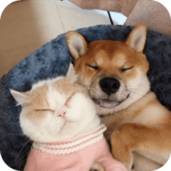 萌趣猫狗翻译器app最新版