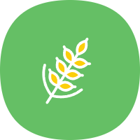 麦子下载器app