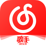 网易云音乐解析安卓版