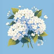 绣球花锦盒APP
