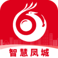 智慧凤城APP官方版