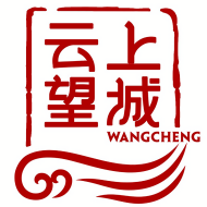 云上望城app