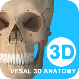 维萨里3D解剖官方版