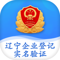辽宁企业登记实名验证官方版