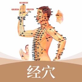 中医经络穴位标准指南官方版