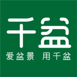千盆最新版