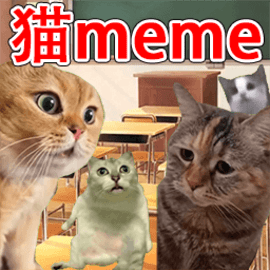 猫猫惊魂夜官方版