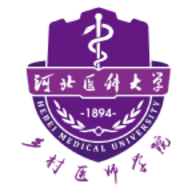河北乡医官方正版
