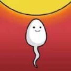 中式人生官方版