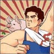 养猪致富新农村小游戏