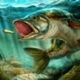 海岛生活模拟安卓版