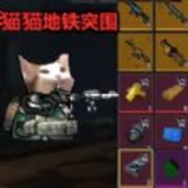 猫猫地铁突围官方版