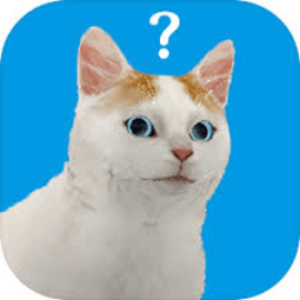 逃脱游戏猫的视角手机版