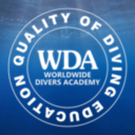 WDA ASIA官方版