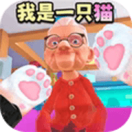 小猫咪大世界最新版