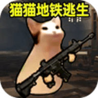 猫猫地铁逃生手机版